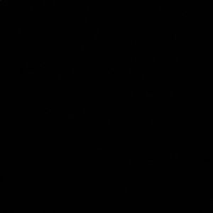 Meet your Posher, Nikita